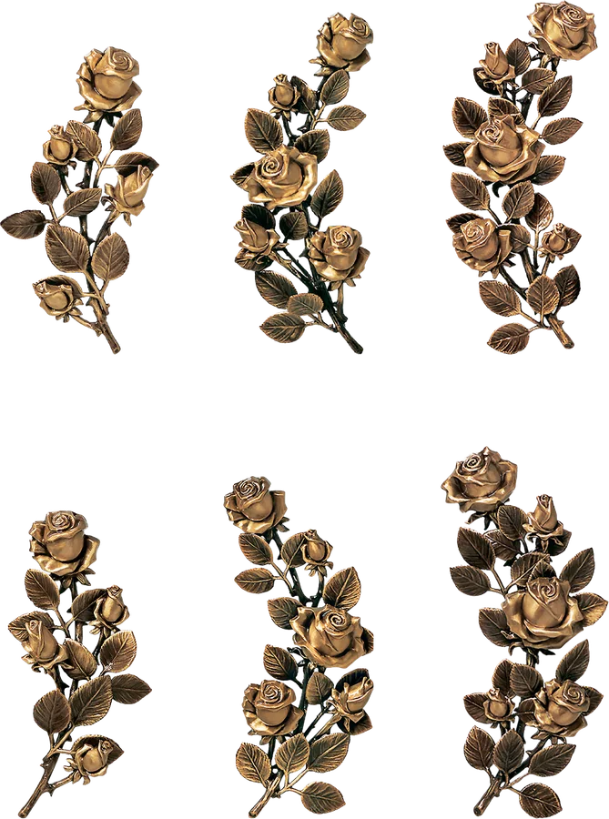Caggiati: Розы крупные