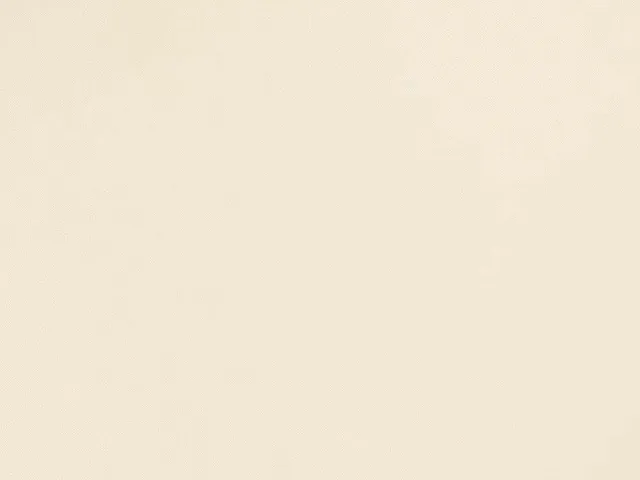 Laminam Filo Brina